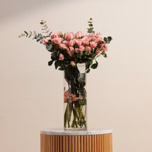 مزهرية بيبي جوري وردي ساحرة